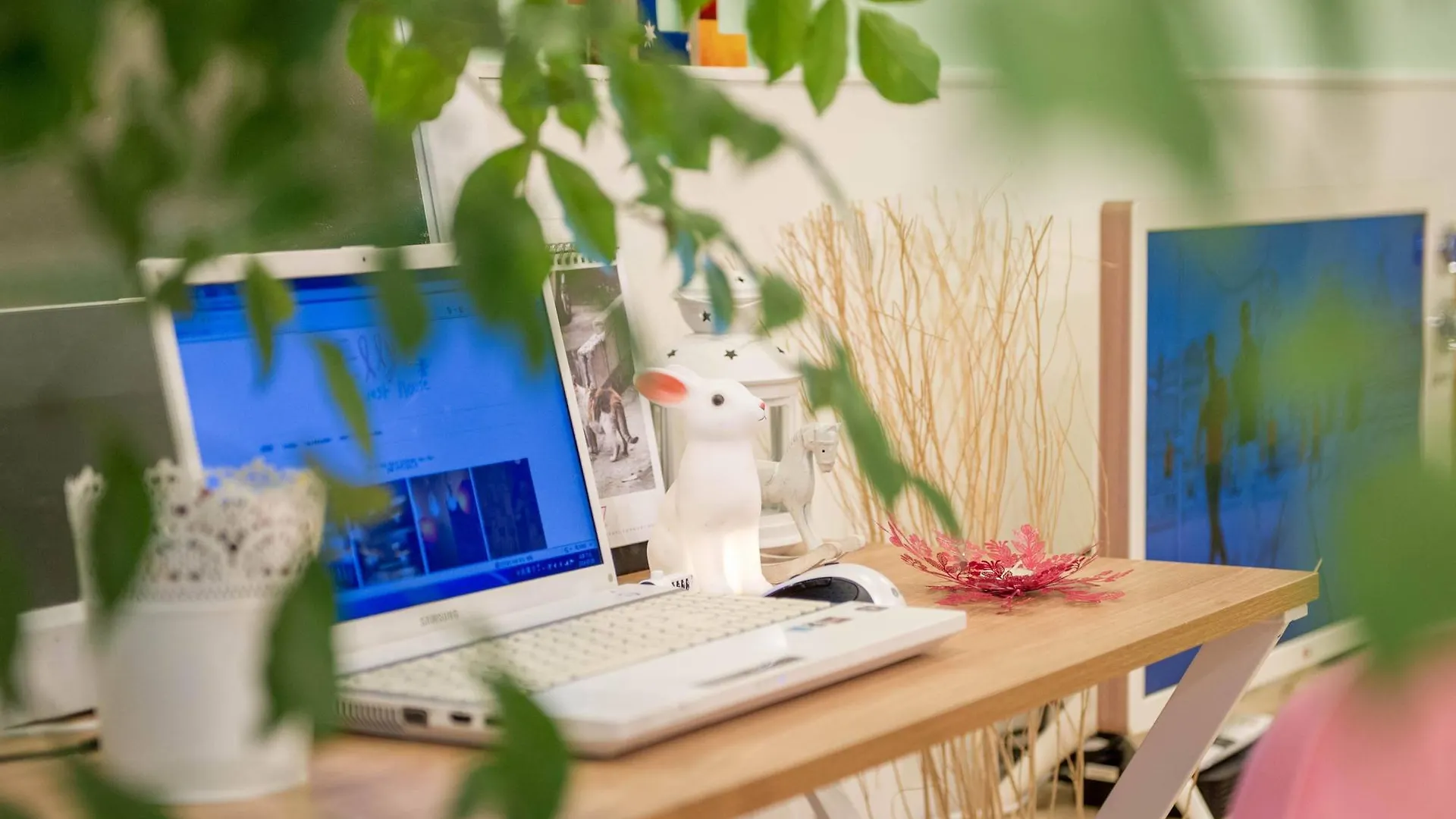 Elly Guesthouse Busan Guest house